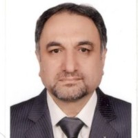 Mohammad Gholizadeh