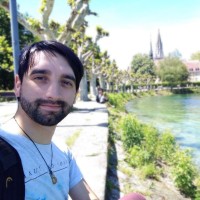 Boris Sotomayor-Gómez