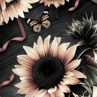 Becky Parsels