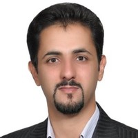 Hamid HosseinZadeh