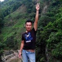 贾双华