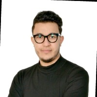 Imed Hamdi