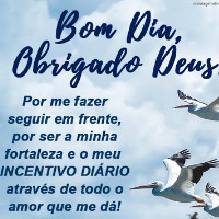 Matheus Herbeck