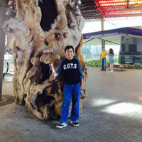 Rochmat Mustopa