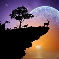 胡晓利