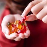 Ben Napier Weight Loss Gummies