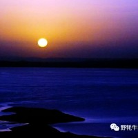 范卫东