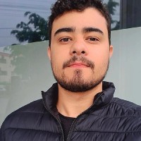 Luiz Fernando Saraiva Neto