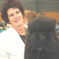 Christine Healy