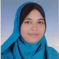 Shaymaa Hassan Abdelaziz
