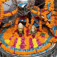 Astrologer S.K Shastri