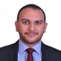 Michael Lotfy ,Pmp®
