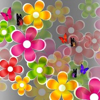 Huma Soomro