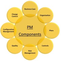 Project Manager