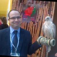George Raouf