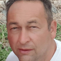 Zsolt Halo