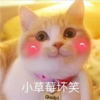 秦长城