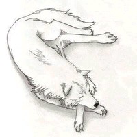 Lucky Wolf