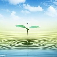 杨清鹏