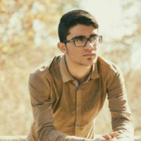 mohammad nadi