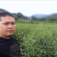 林金晓