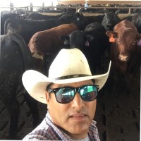 Abner López Espinosa