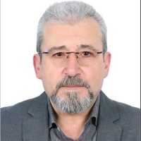 Mahmoud Najjar, Bsc