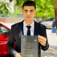 Walid Mohsen