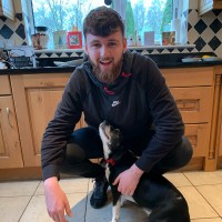 Dylan Holohan