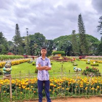 Mayank Rohilla