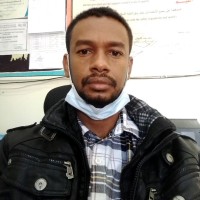 محمد الحسن عبد العزيز