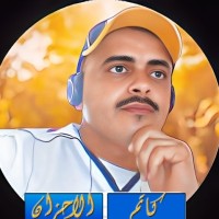 nour aliman