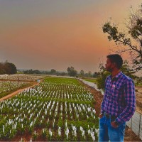 Alok Singh