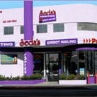 Seda's Printing & Direct Mailing, Inc.