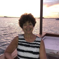 Tracy Cacciotti