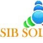 Sib Solution