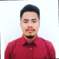Ronalson Meitei