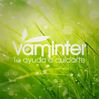 Vaminter S,L.