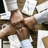 Flavio Eduardo Toledo dos Santos