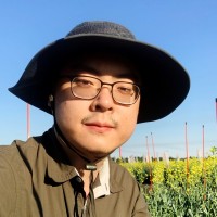 Zhengping Wang