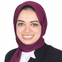 Wissam Mosa