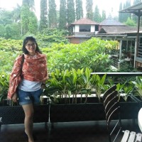 Shelen Mamesa, Skm