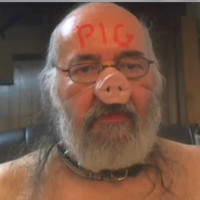 piggy raymond morelli