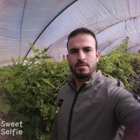 Abdelmajid Amahlal