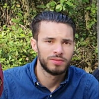Raouf Traouli