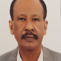 Ali Houmida
