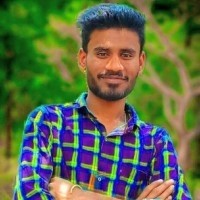 V RAMESH