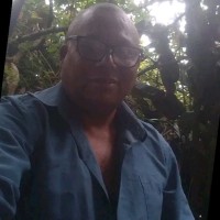 André Felipe