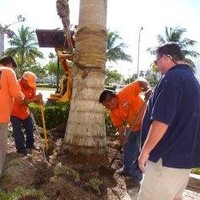 First Florida Landcare