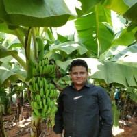 Sanjay Singh Narwal